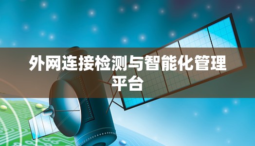 外网连接检测与智能化管理平台 外网连接检测与智能化管理平台