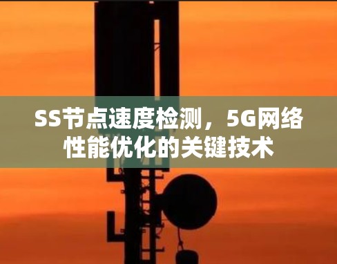 SS节点速度检测,5G网络性能优化的关键技术 SS节点速度检测,5G网络性能优化的关键技术