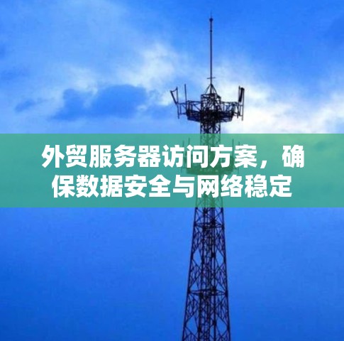外贸服务器访问方案，确保数据安全与网络稳定
