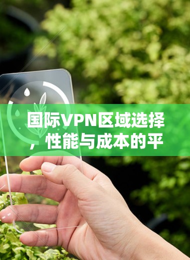 国际VPN区域选择,性能与成本的平衡之道 国际VPN区域选择,性能与成本的平衡之道