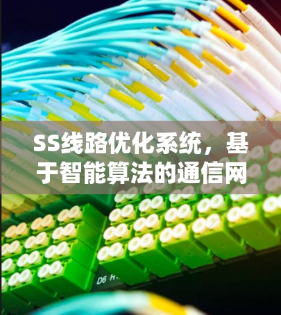 SS线路优化系统，基于智能算法的通信网络性能提升方案