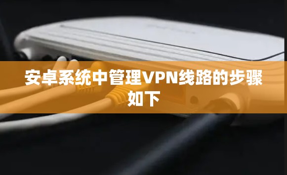 安卓系统中管理VPN线路的步骤如下 安卓系统中管理VPN线路的步骤如下