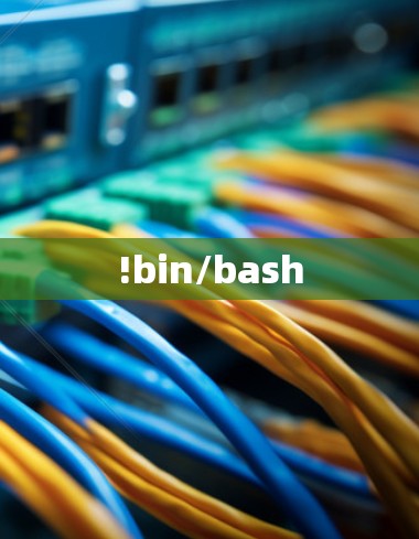 !bin/bash !bin/bash