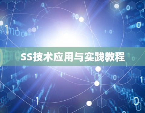 SS技术应用与实践教程 SS技术应用与实践教程