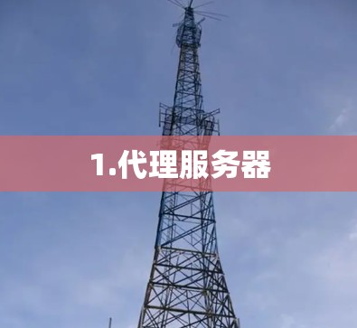 1.代理服务器 1.代理服务器