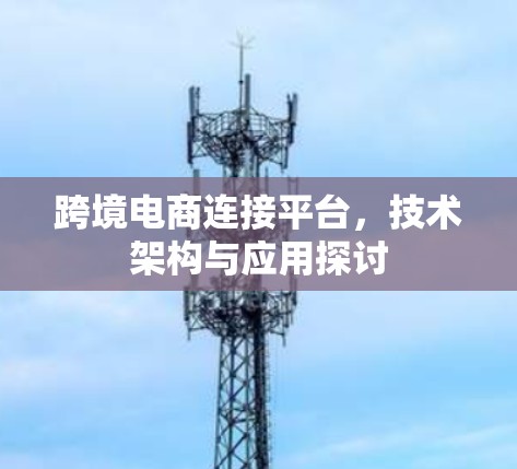 跨境电商连接平台,技术架构与应用探讨 跨境电商连接平台,技术架构与应用探讨