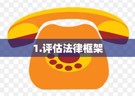 1.评估法律框架 1.评估法律框架