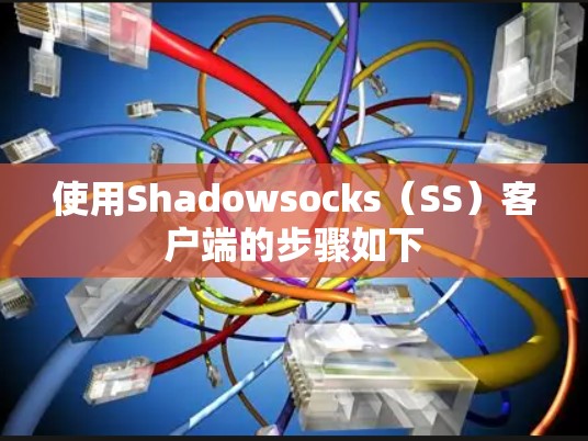 使用Shadowsocks(SS)客户端的步骤如下 使用Shadowsocks(SS)客户端的步骤如下