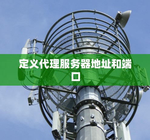 定义代理服务器地址和端口