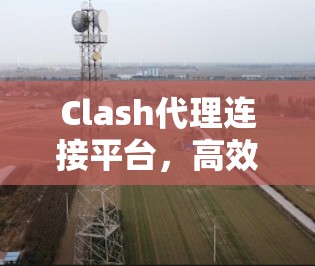 Clash代理连接平台,高效网络管理与优化解决方案 Clash代理连接平台,高效网络管理与优化解决方案