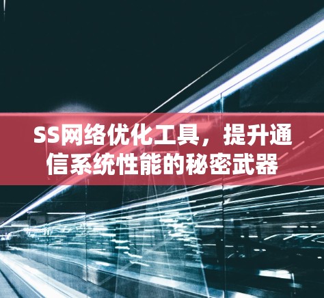 SS网络优化工具,提升通信系统性能的秘密武器 SS网络优化工具,提升通信系统性能的秘密武器